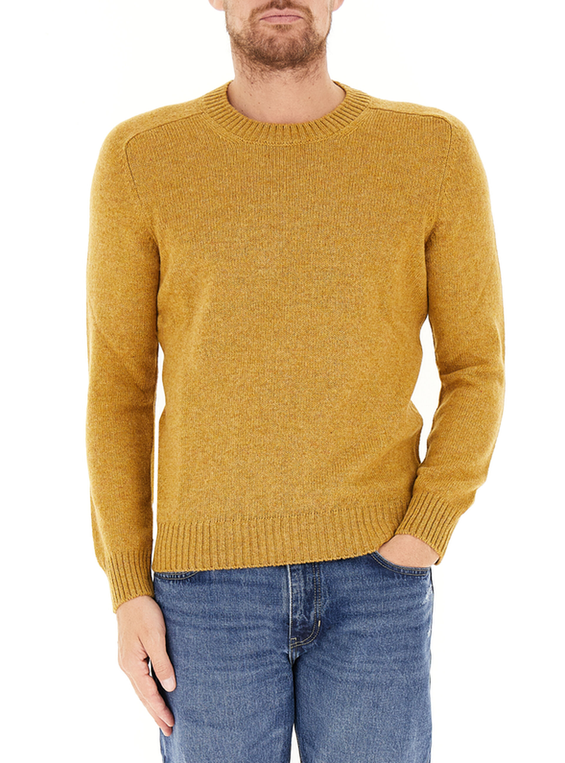 Maglione in lana SENAPE 54