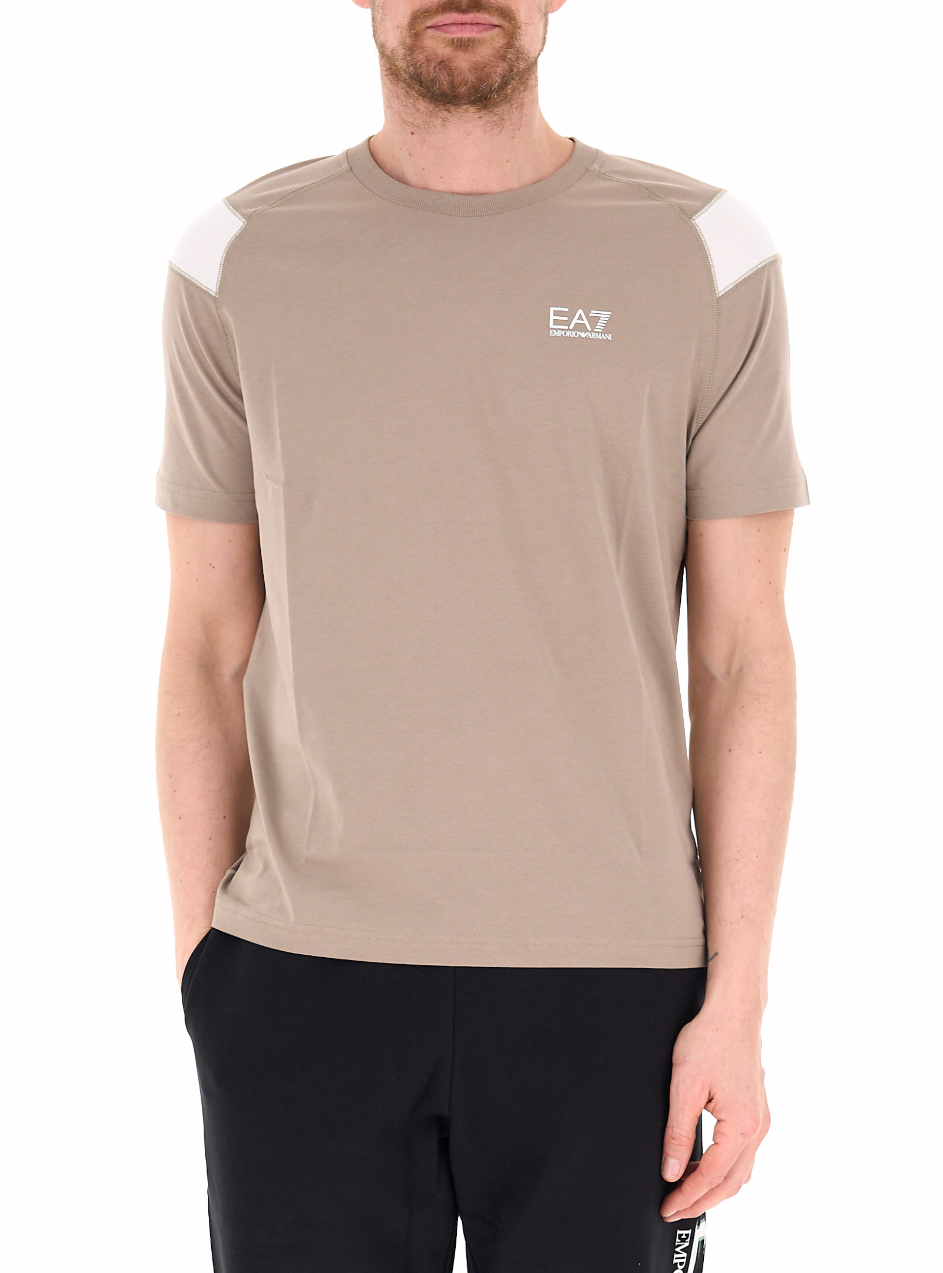 T-shirt in cotone TORTORA M