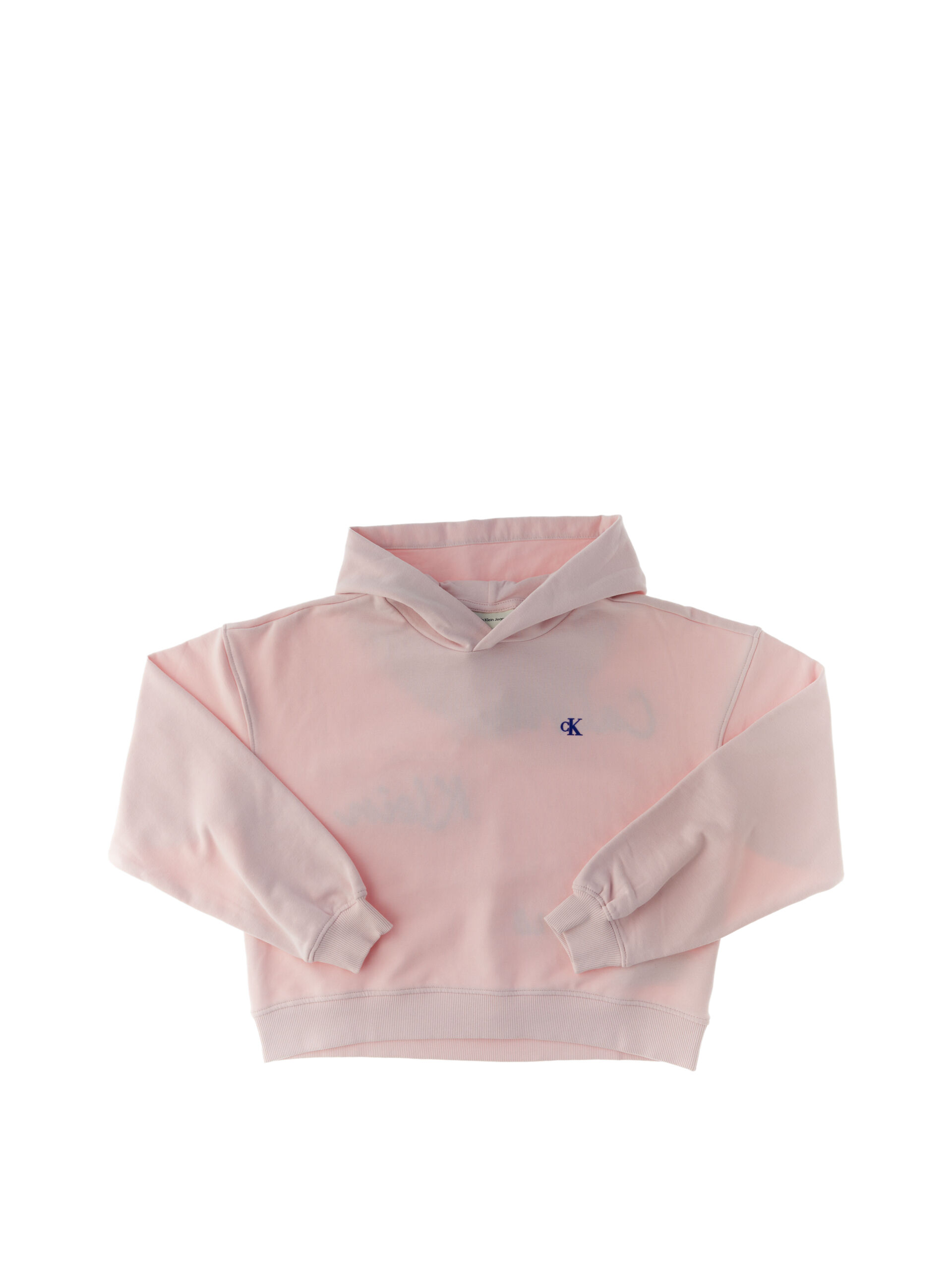 Felpa con cappuccio ROSA CHIARO 8
