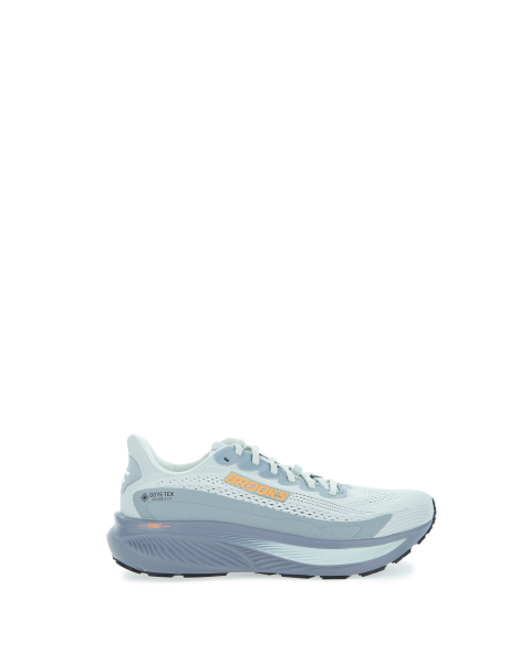 Scarpe Ghost 17 GTX
