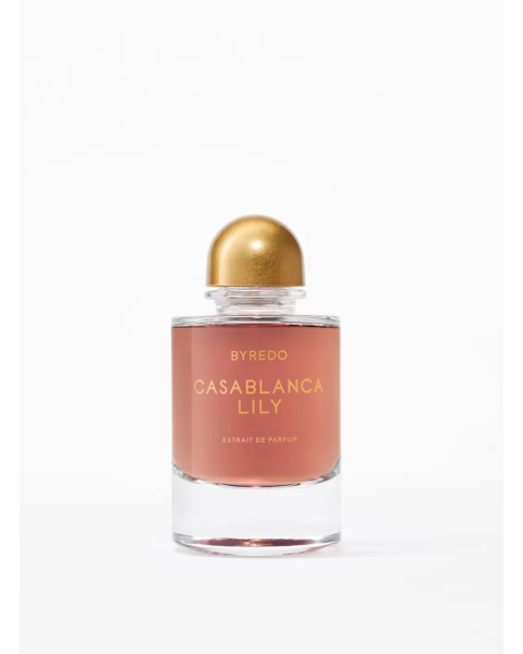 Casablanca Lily
