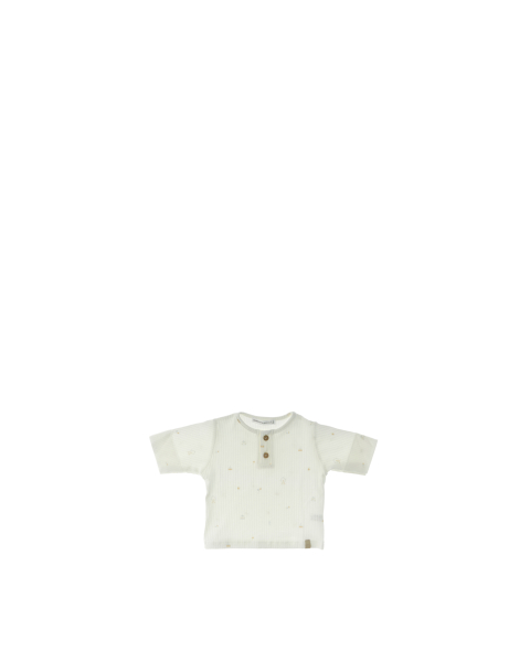 Polo a costine