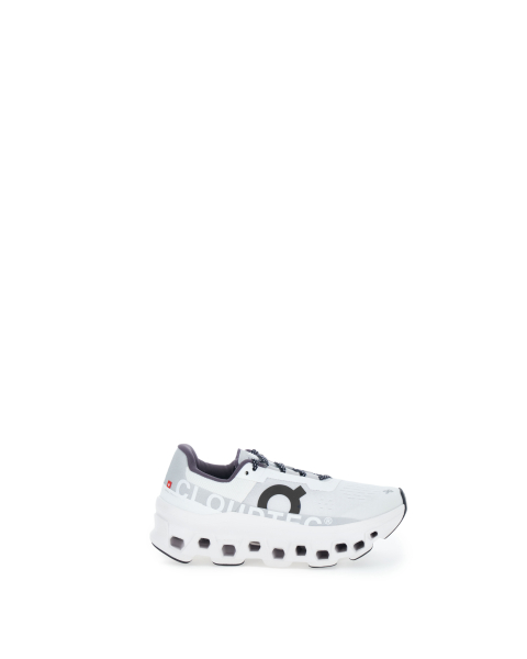 Sneakers Cloudmonster