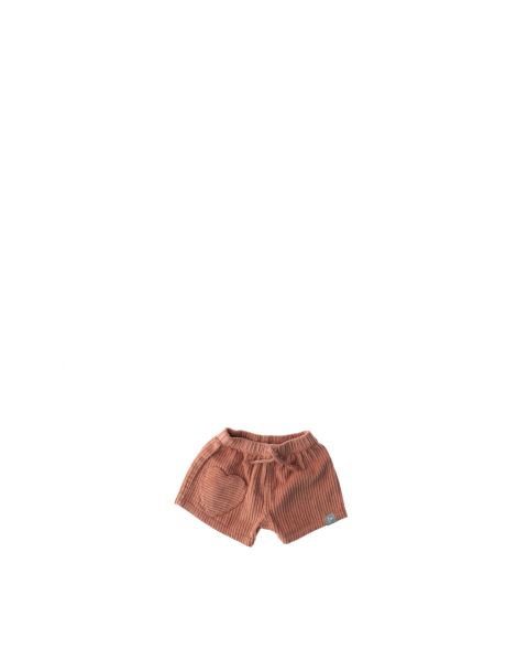 Shorts in velluto