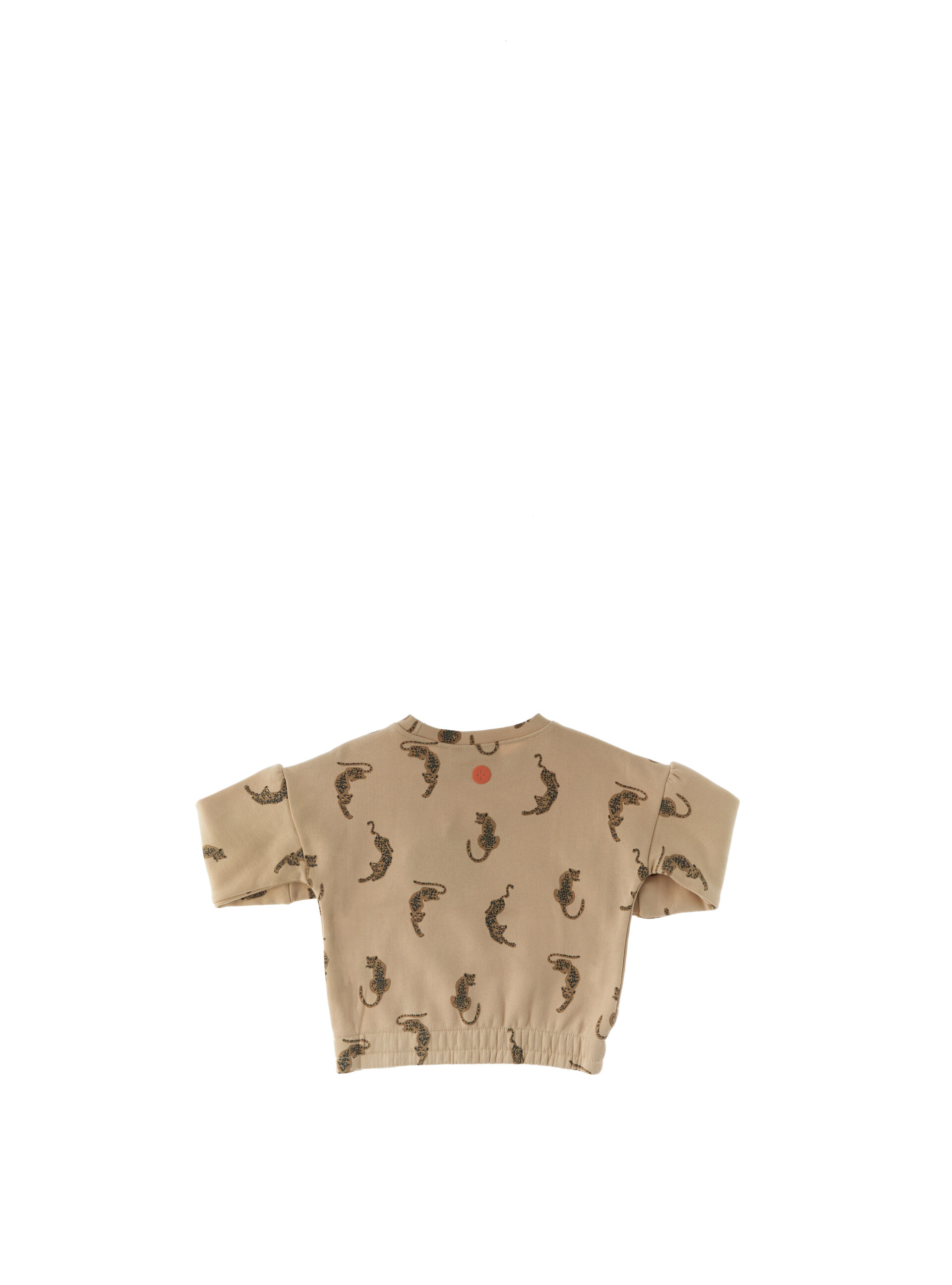 secondary product photo